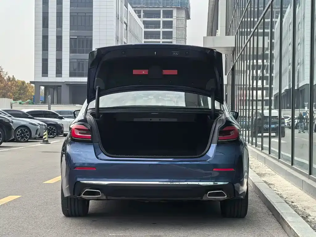 BMW 5 Series New Energy 2023 из CN, фото 6
