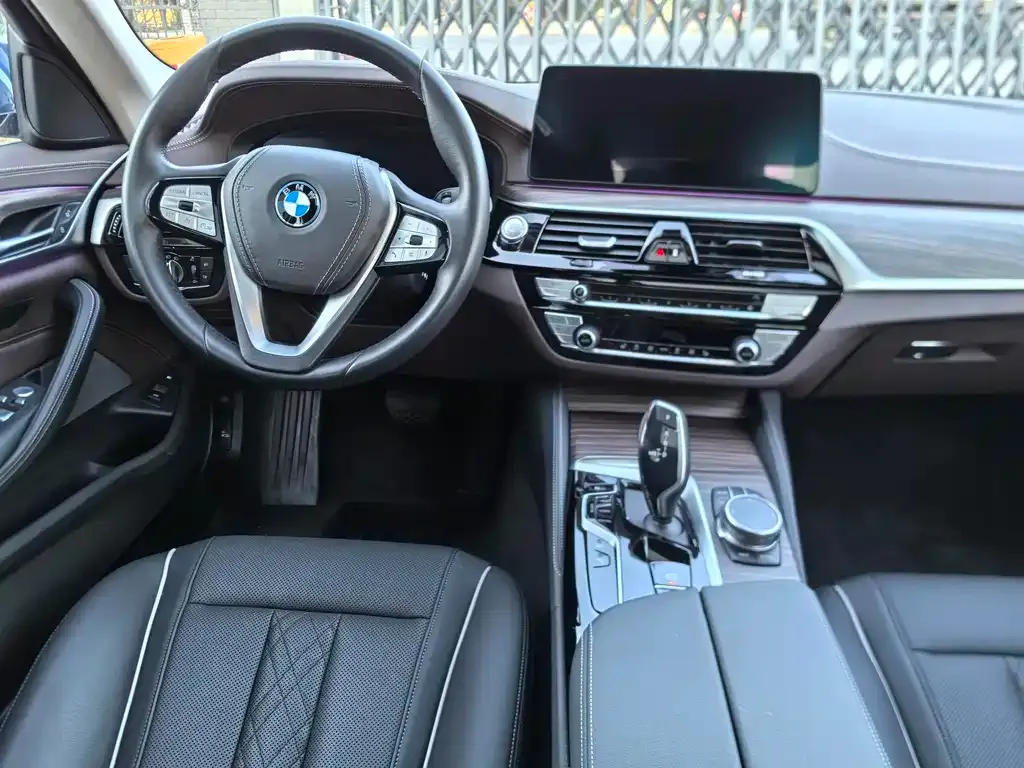 BMW 5 Series New Energy 2023 из CN, фото 9