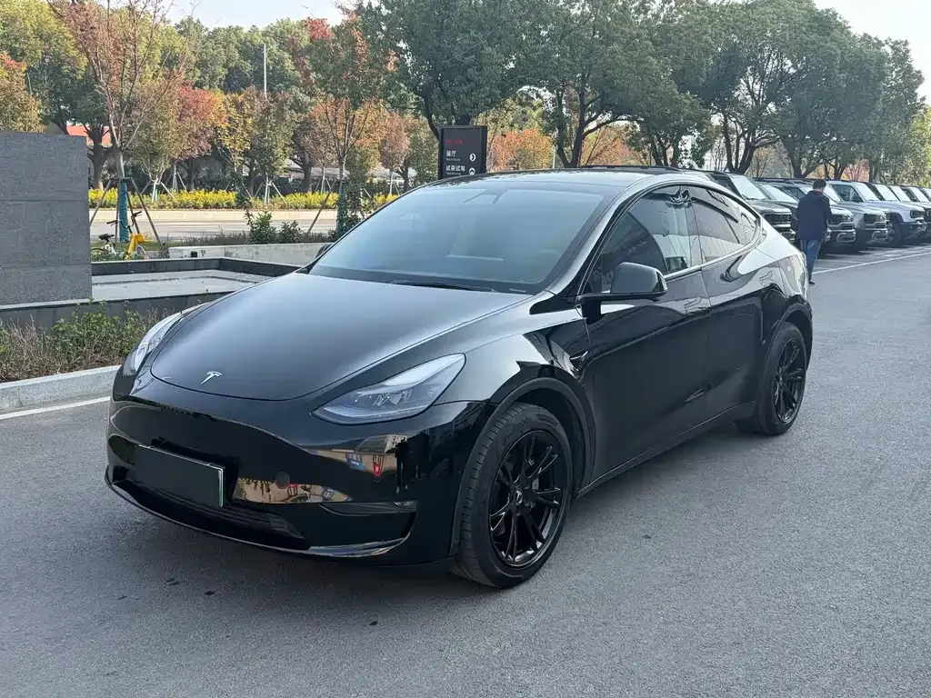 Tesla Model Y 2021 из CN, фото 1