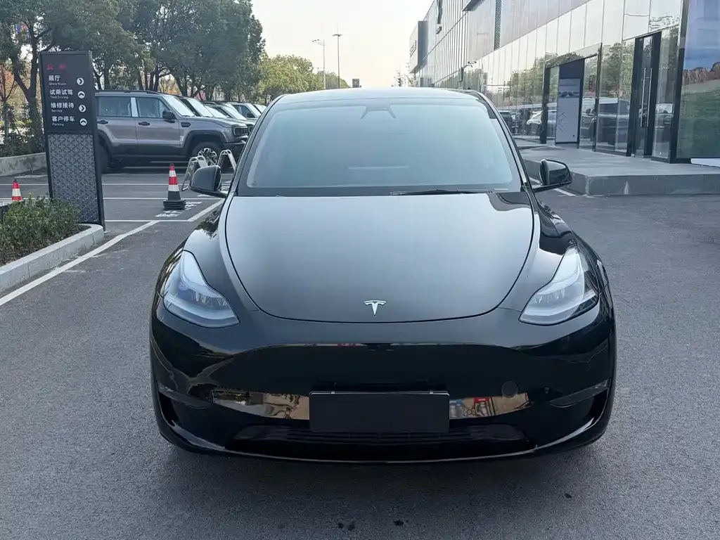 Tesla Model Y 2021 из CN, фото 2