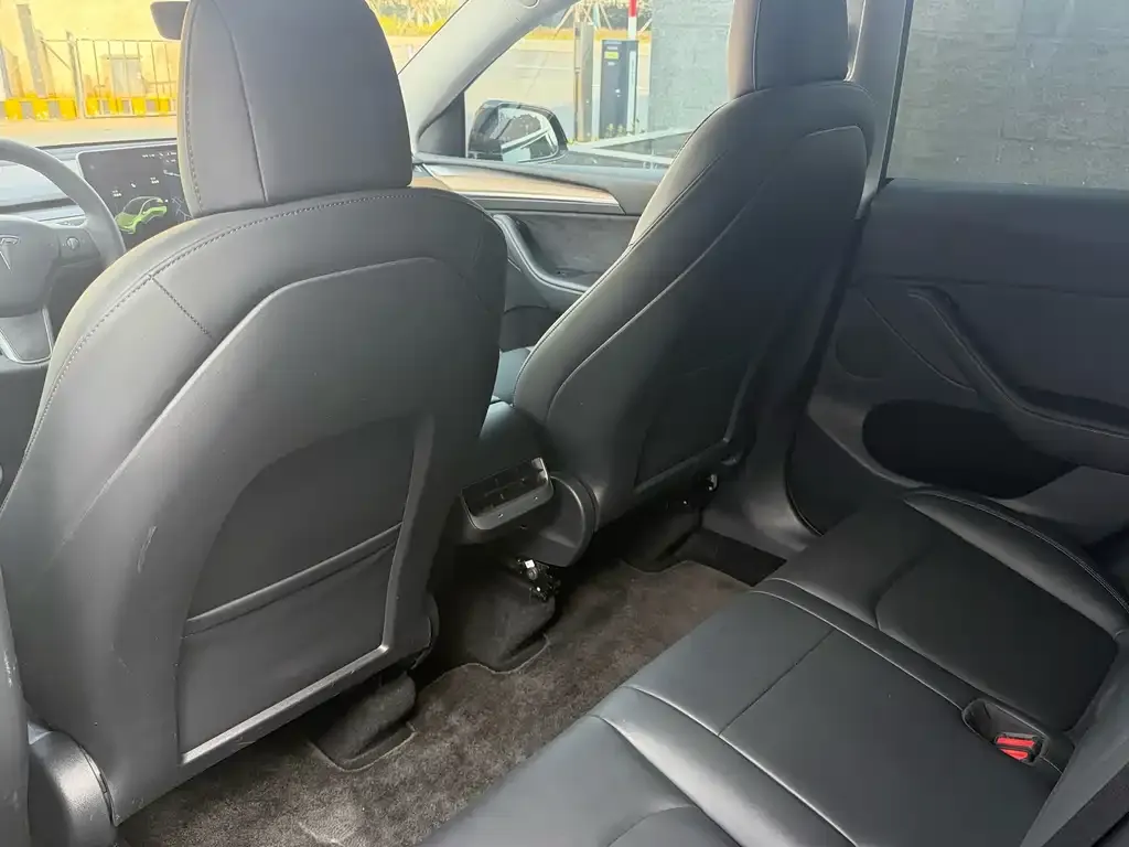 Tesla Model Y 2021 из CN, фото 4