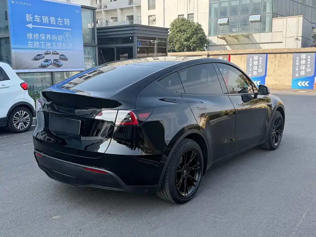 Tesla Model Y 2021 из CN, фото 5