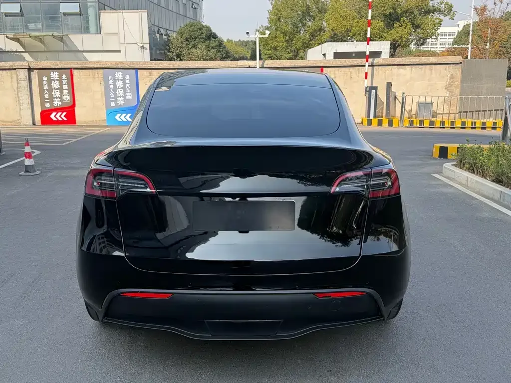 Tesla Model Y 2021 из CN, фото 6