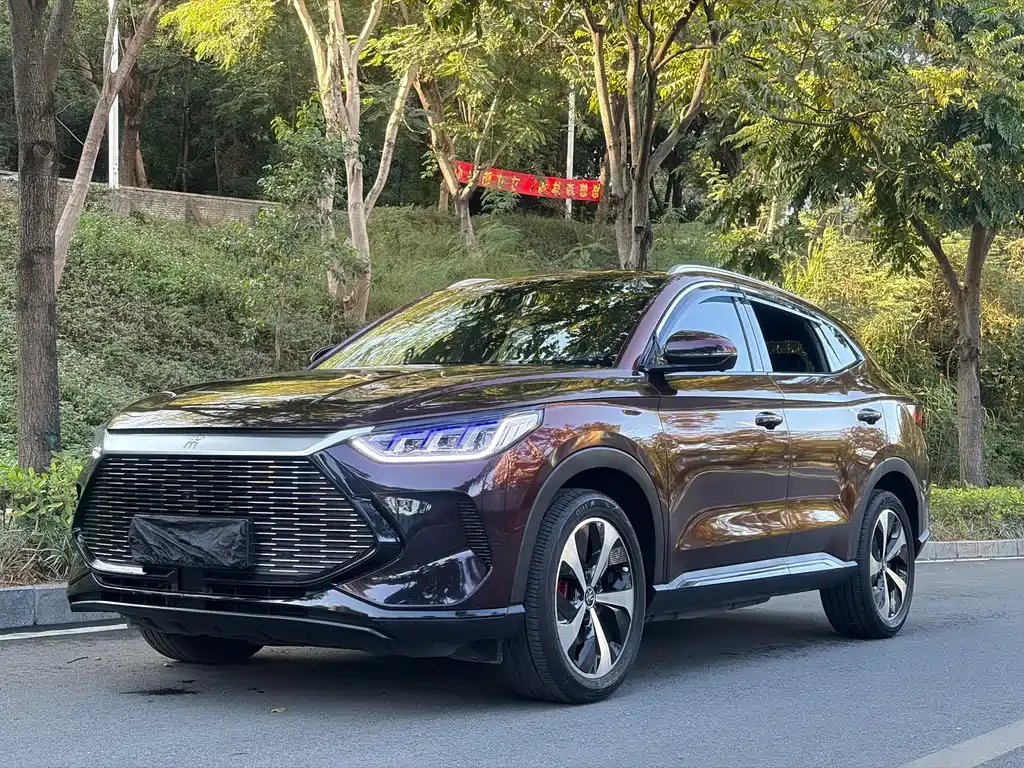 BYD PLUS New Energy 2021 из CN, фото 1