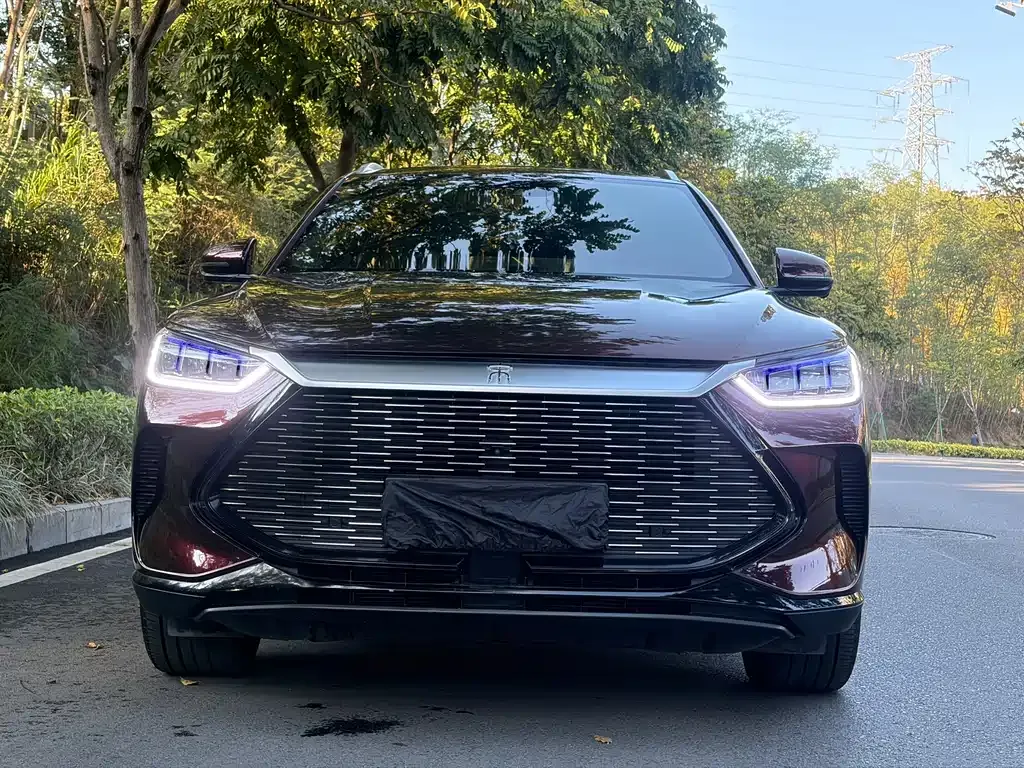 BYD PLUS New Energy 2021 из CN, фото 2