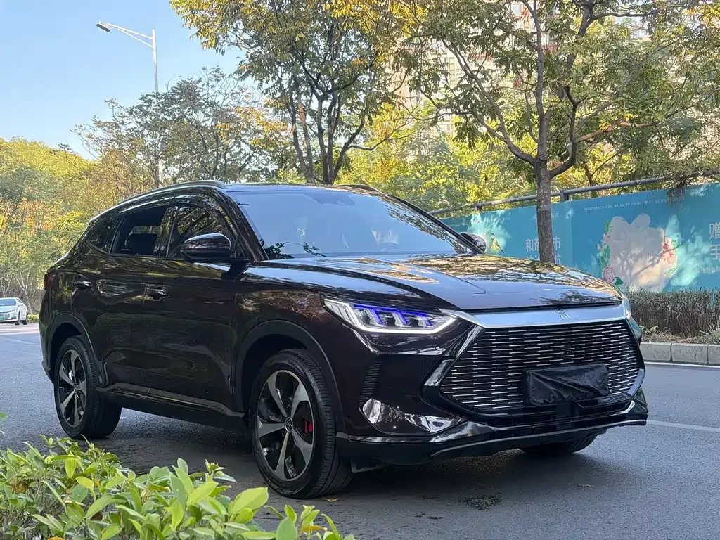 BYD PLUS New Energy 2021 из CN, фото 3