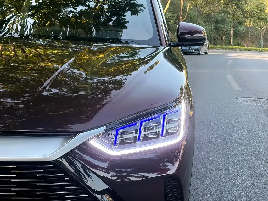 BYD PLUS New Energy 2021 из CN, фото 5