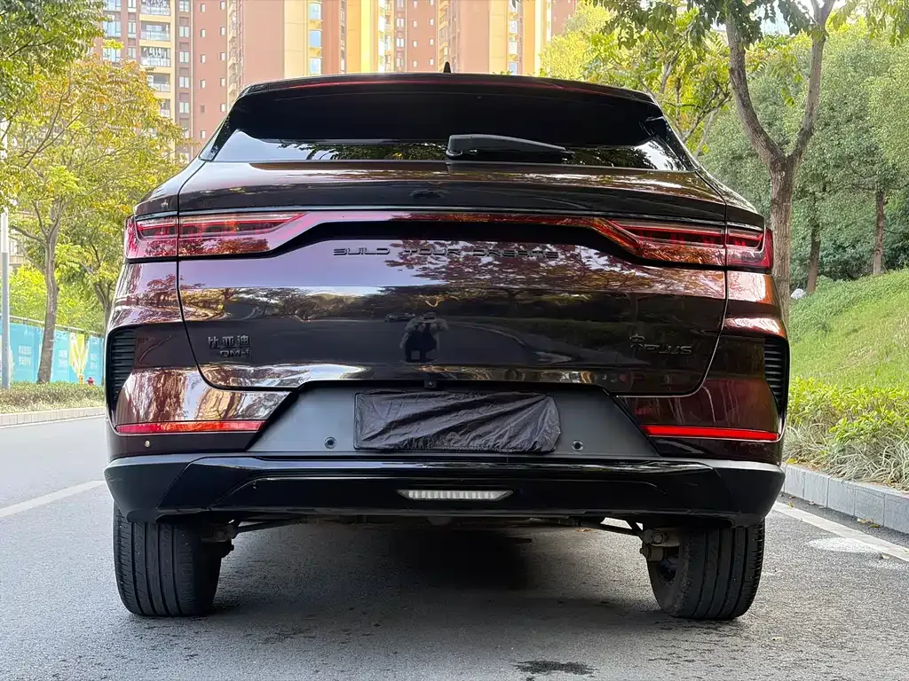 BYD PLUS New Energy 2021 из CN, фото 6