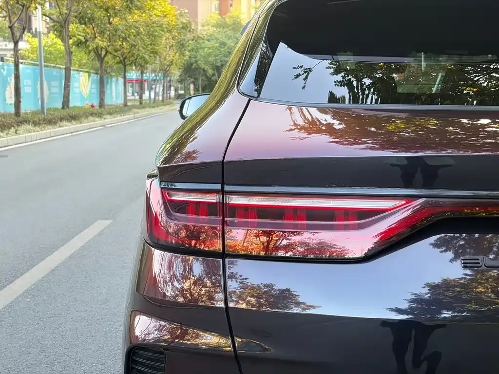 BYD PLUS New Energy 2021 из CN, фото 8