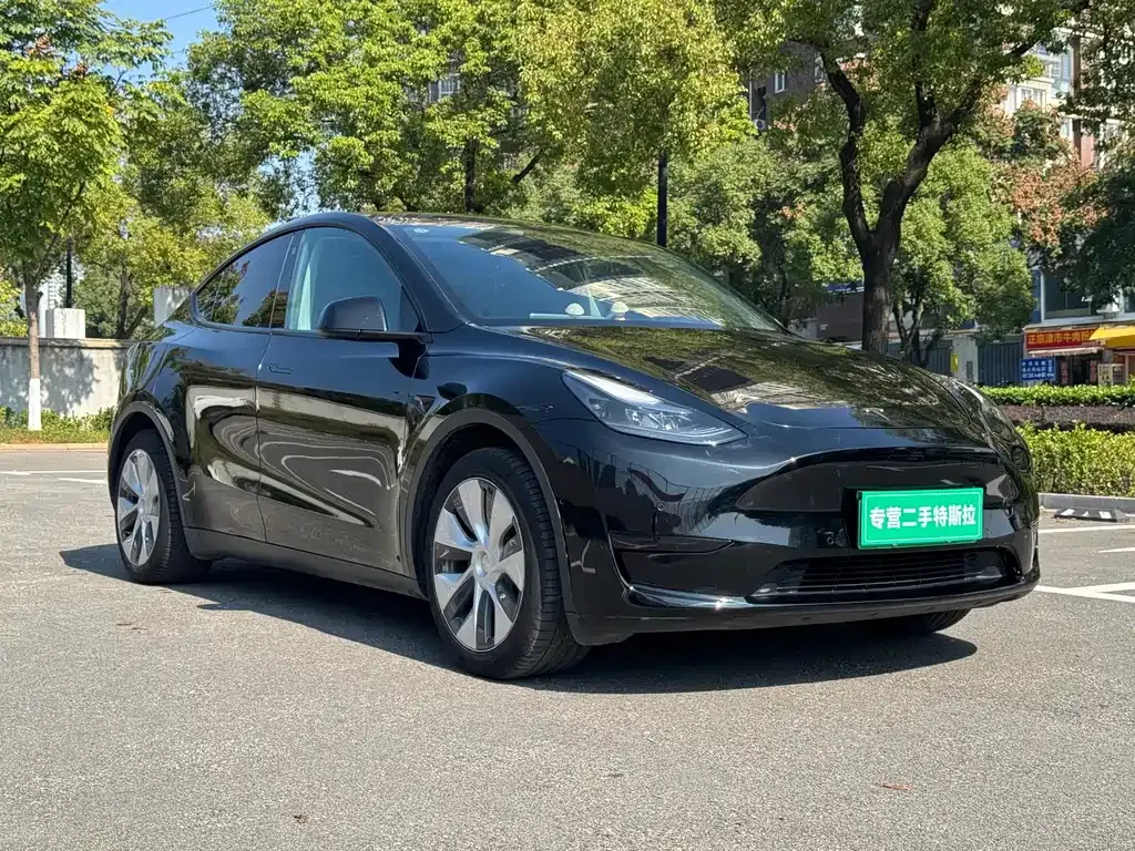 Tesla Model Y — фото 2