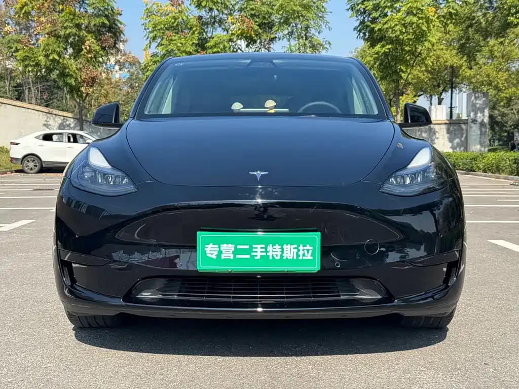 Tesla Model Y — фото 3
