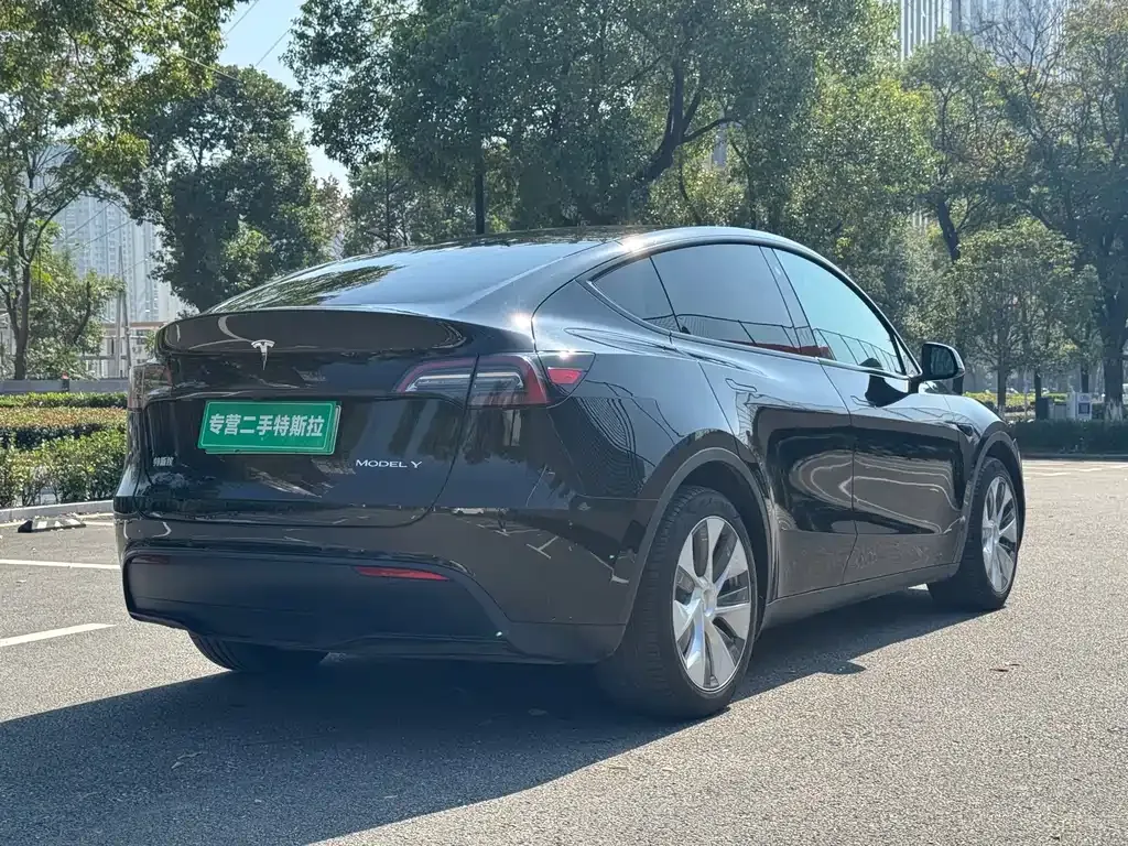Tesla Model Y — фото 6