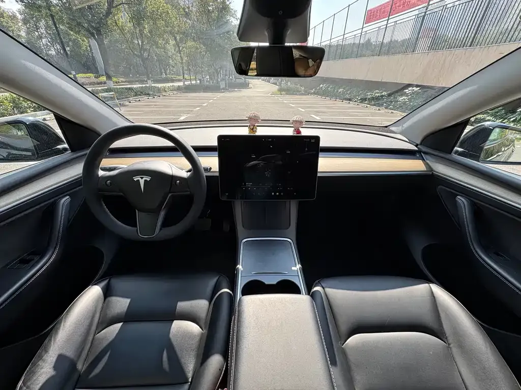 Tesla Model Y — фото 9