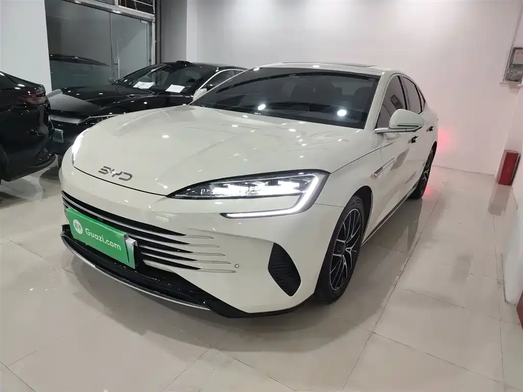 BYD Seal 07 DM-i 2024 из CN, фото 2