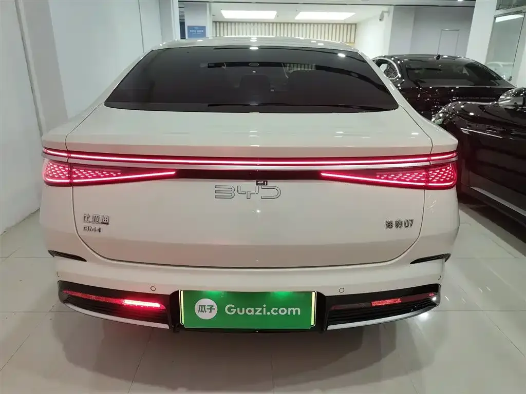 BYD Seal 07 DM-i 2024 из CN, фото 6