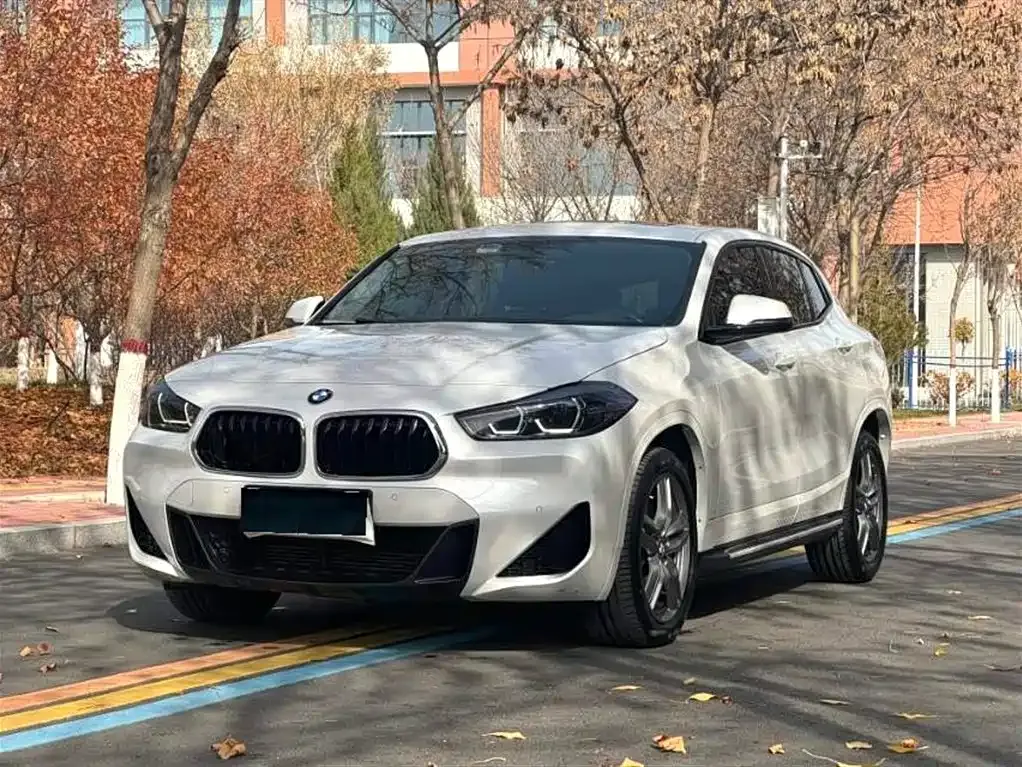 BMW X2 — фото 1