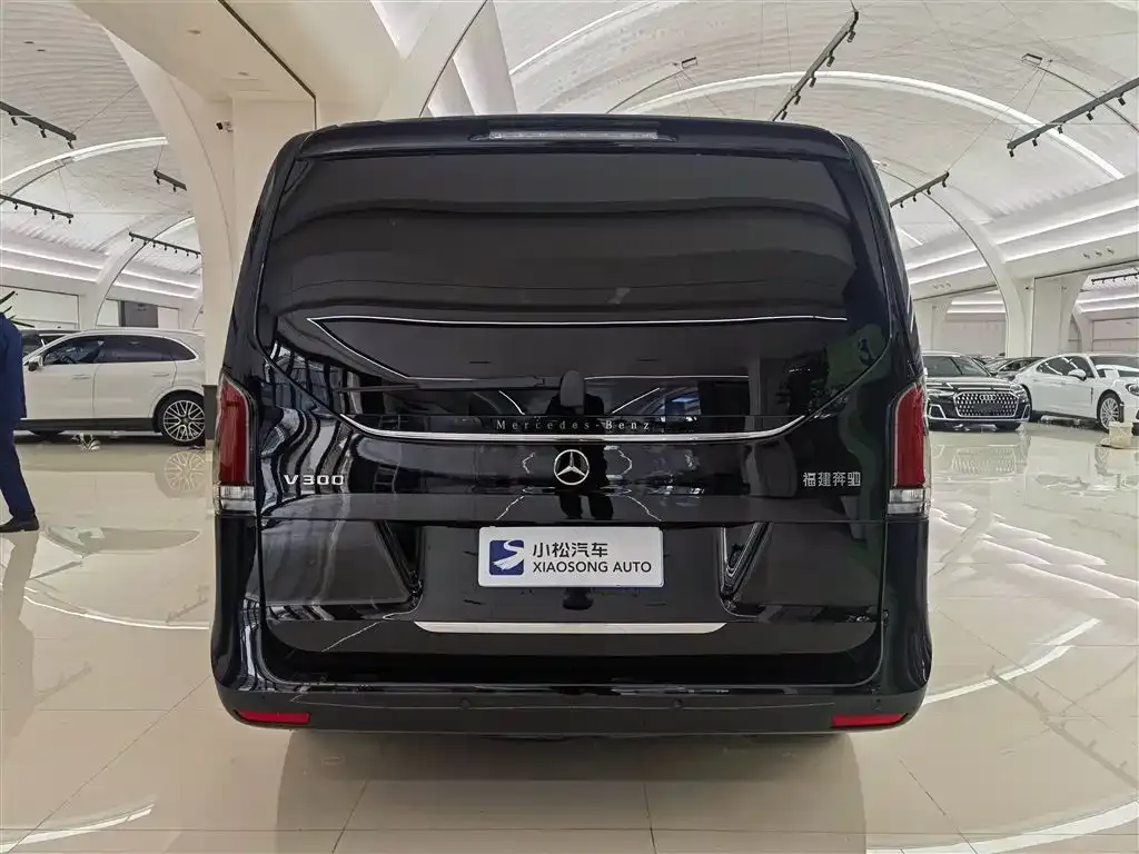 Mercedes-Benz V-Class 2025 из CN, фото 3