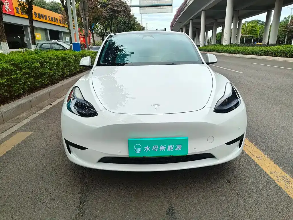 Tesla Model Y 2023 из CN, фото 2