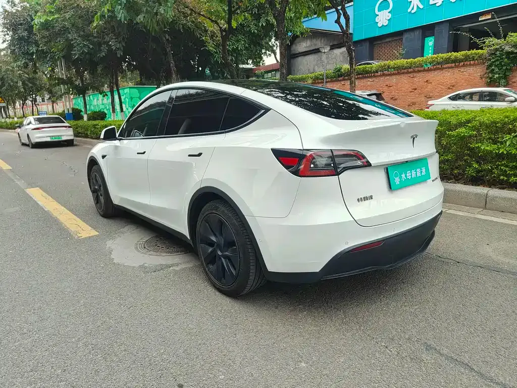 Tesla Model Y 2023 из CN, фото 4