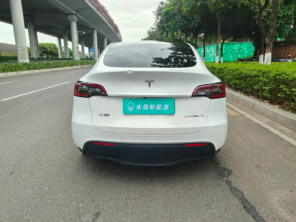 Tesla Model Y 2023 из CN, фото 5