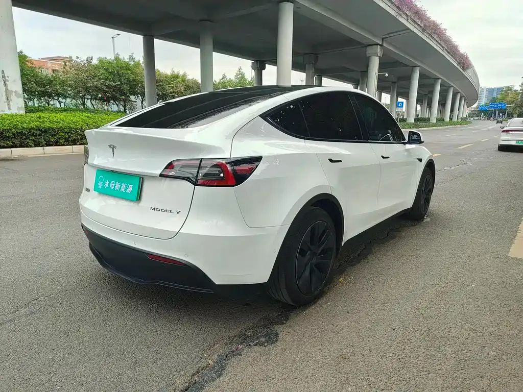 Tesla Model Y 2023 из CN, фото 6