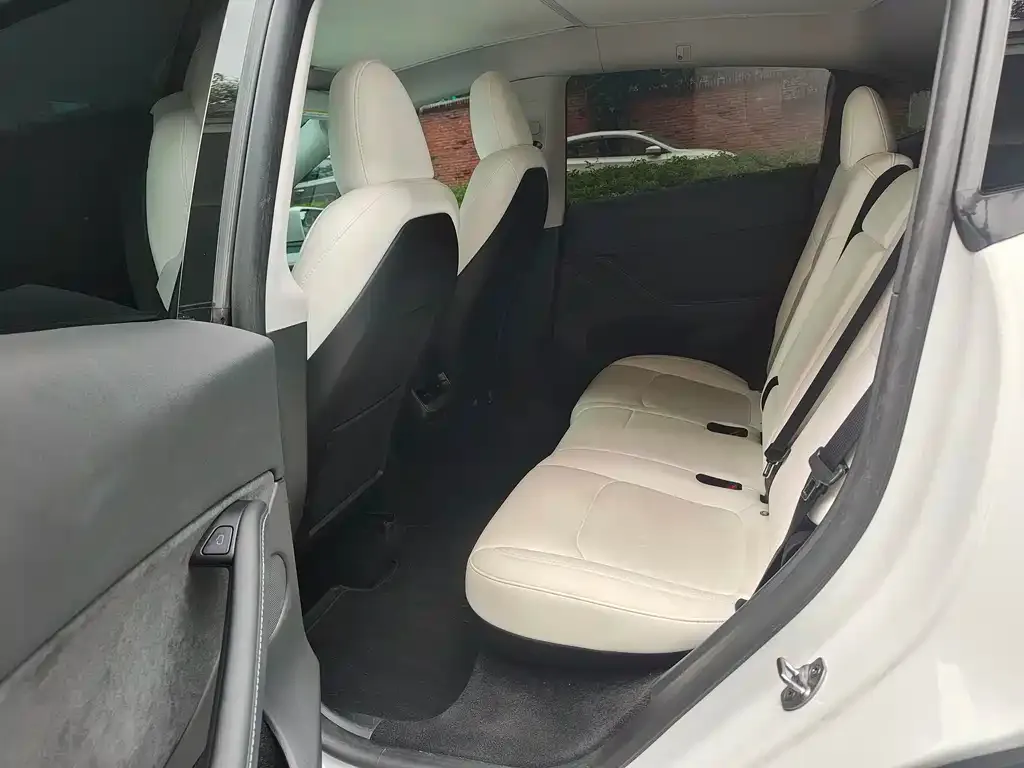 Tesla Model Y 2023 из CN, фото 8