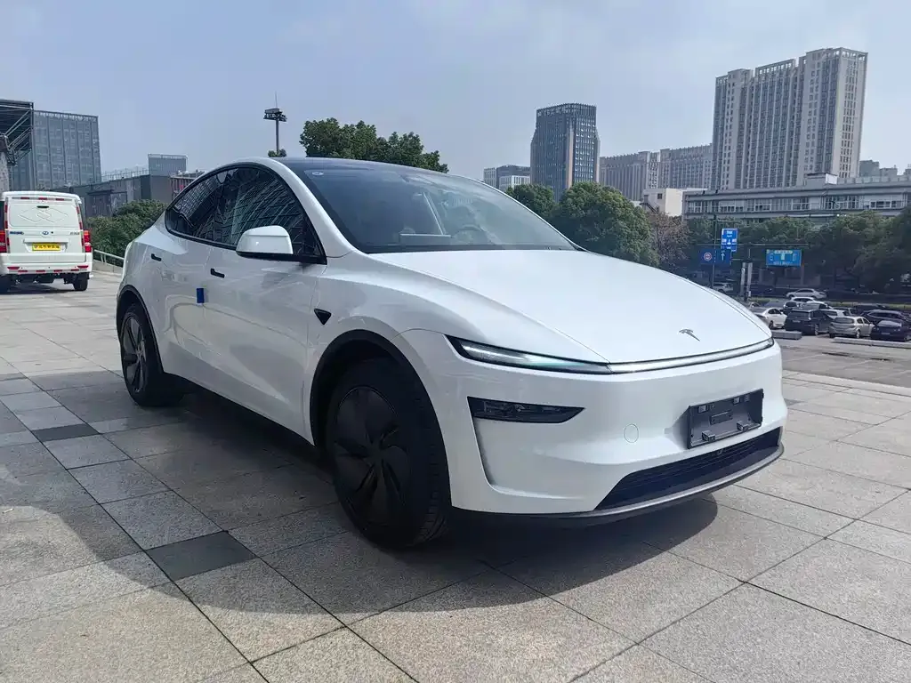 Tesla Model Y — фото 1