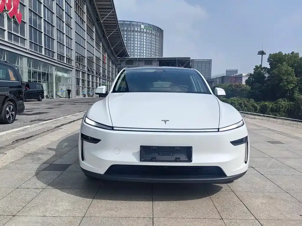 Tesla Model Y — фото 2