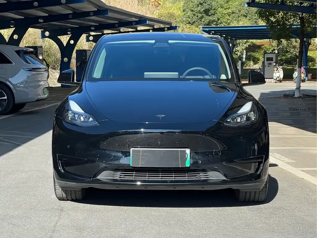 Tesla Model Y — фото 2