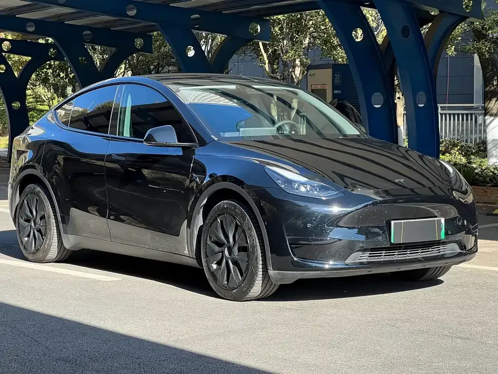 Tesla Model Y — фото 3