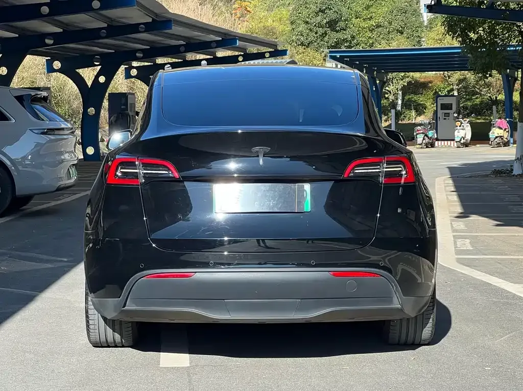 Tesla Model Y — фото 5