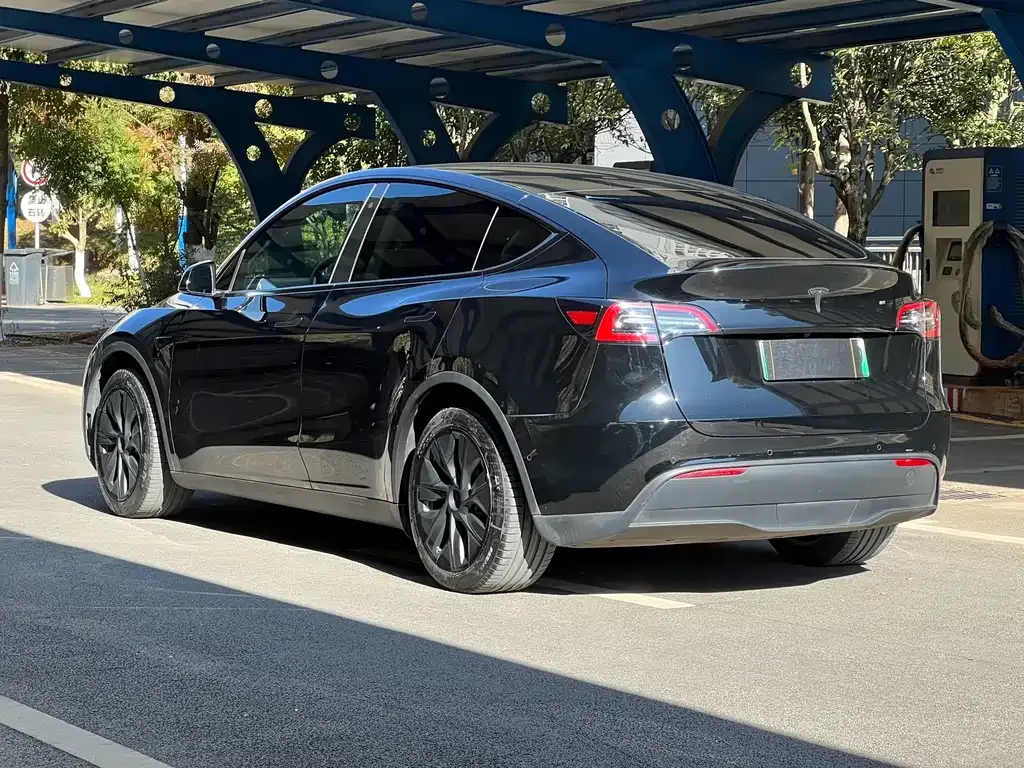 Tesla Model Y — фото 6