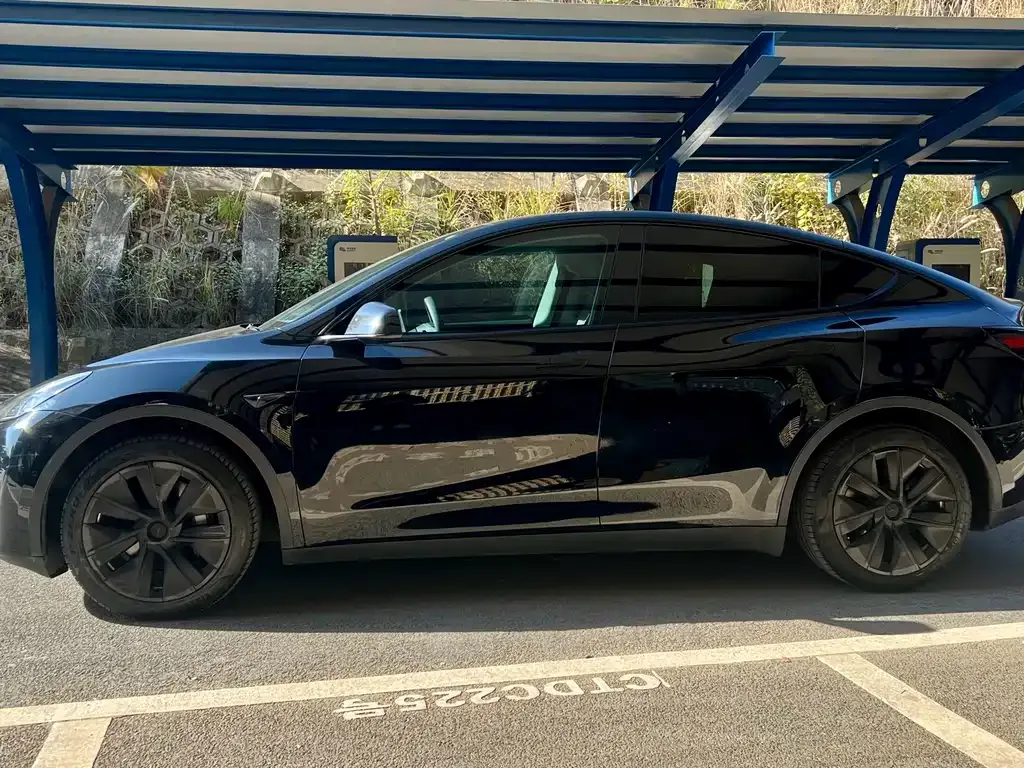 Tesla Model Y — фото 7