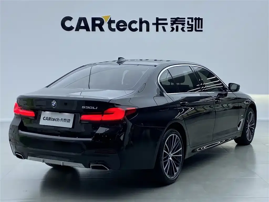 BMW 5 Series 2023 из CN, фото 4