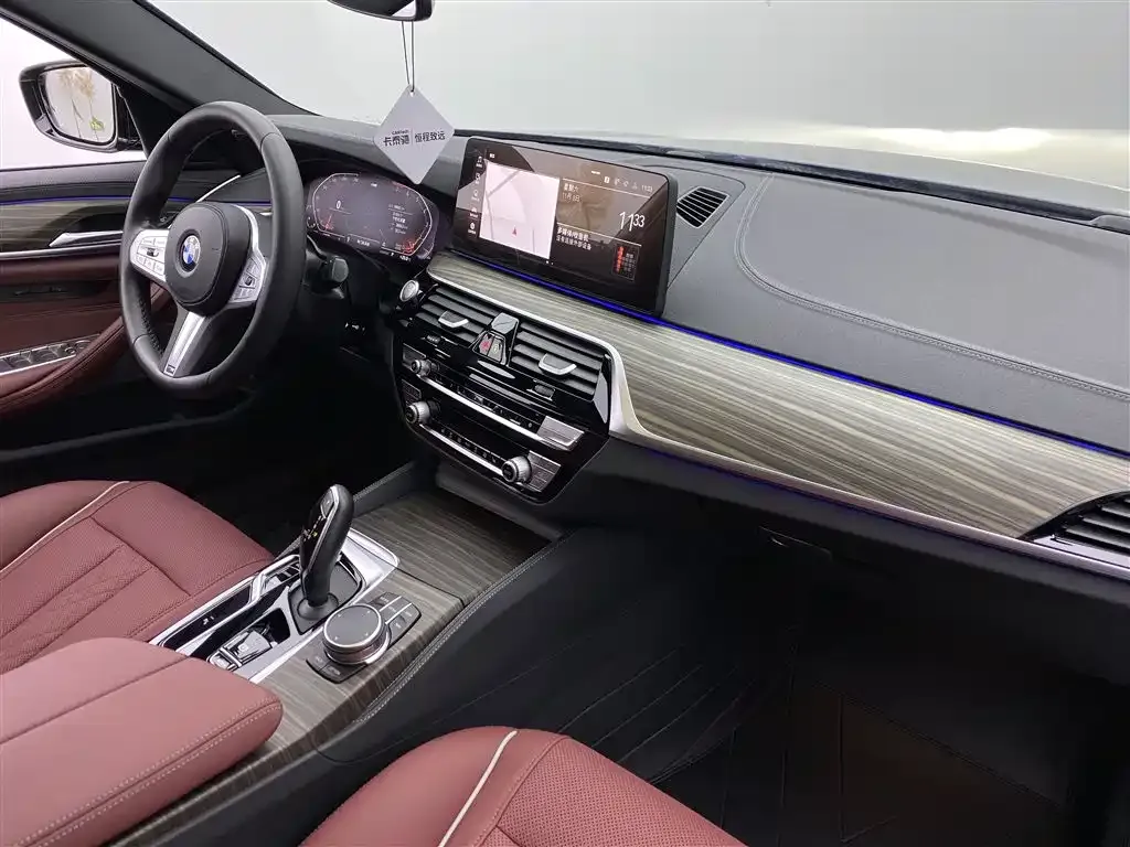 BMW 5 Series 2023 из CN, фото 7