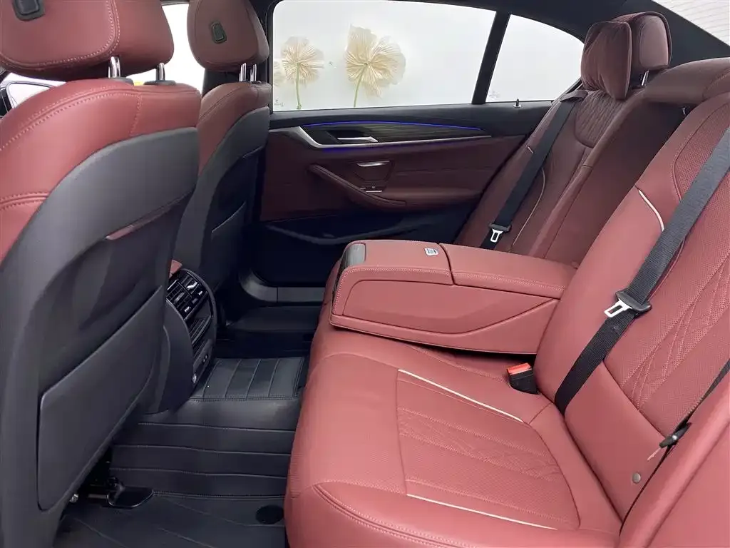 BMW 5 Series 2023 из CN, фото 8