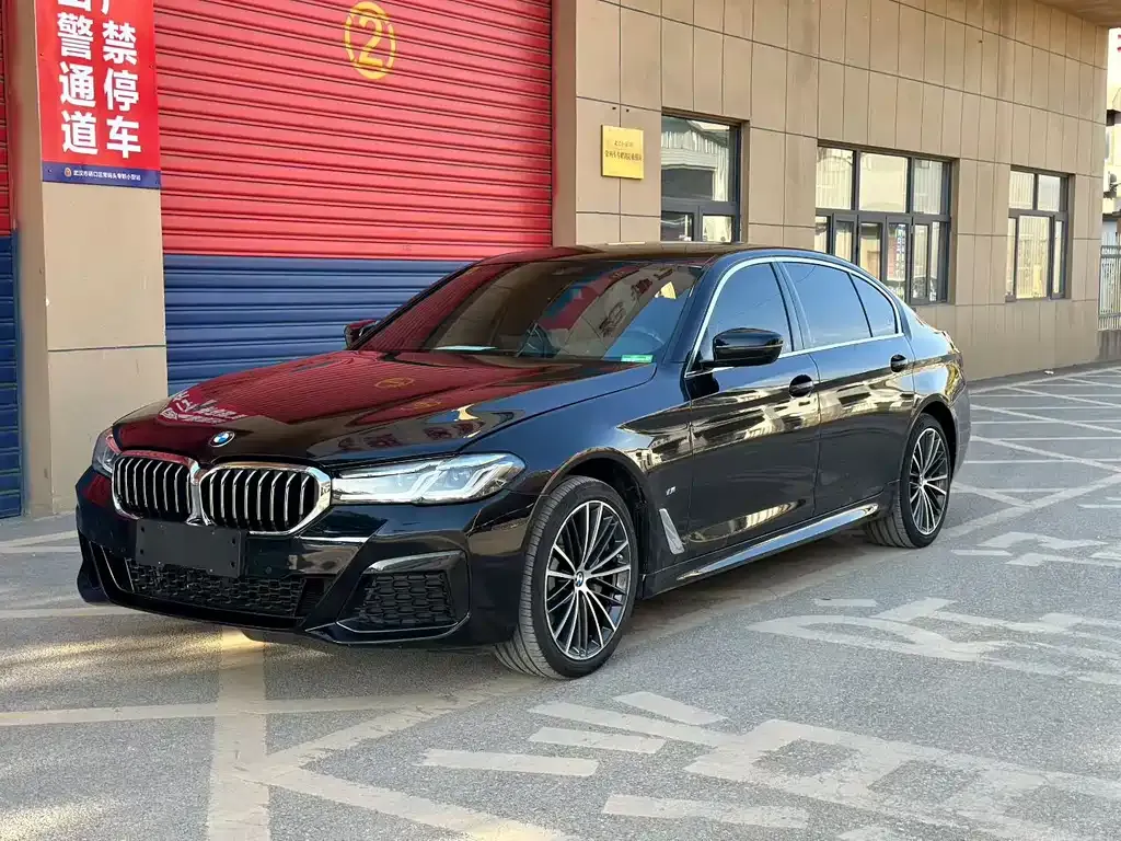 BMW 5 Series 2022 из CN, фото 1