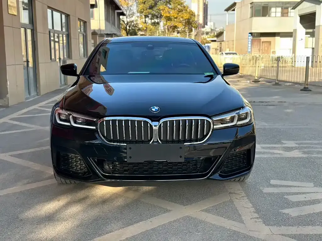 BMW 5 Series 2022 из CN, фото 2