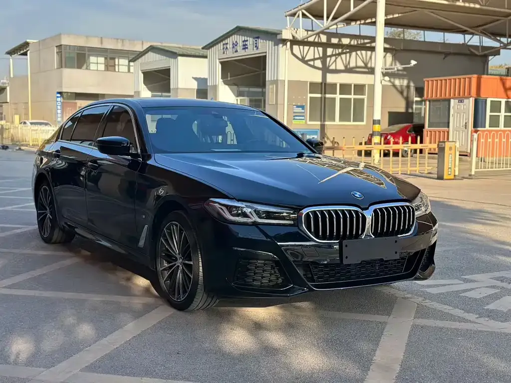 BMW 5 Series 2022 из CN, фото 3