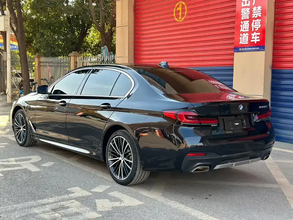 BMW 5 Series 2022 из CN, фото 7