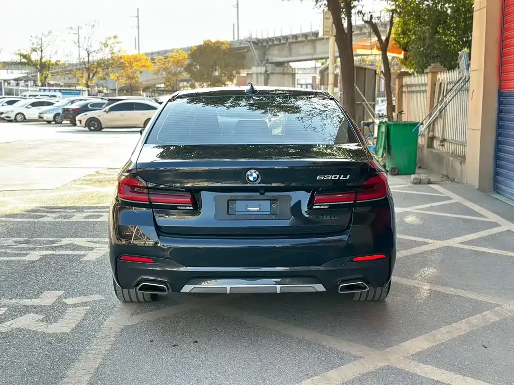 BMW 5 Series 2022 из CN, фото 8