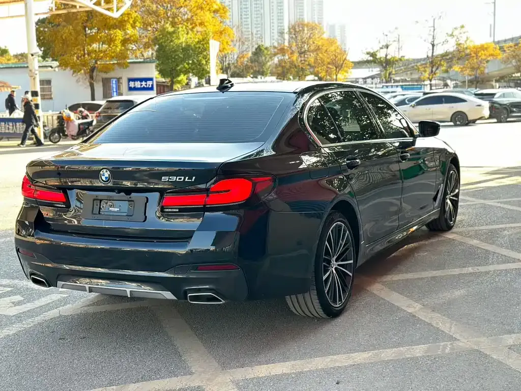 BMW 5 Series 2022 из CN, фото 9