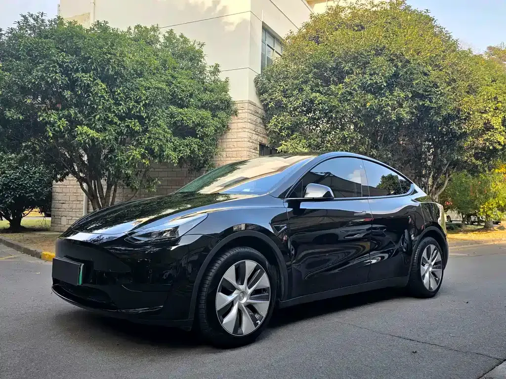 Tesla Model Y — фото 1