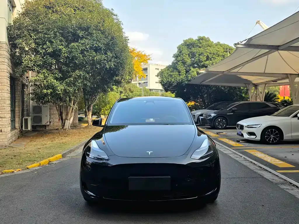 Tesla Model Y — фото 2