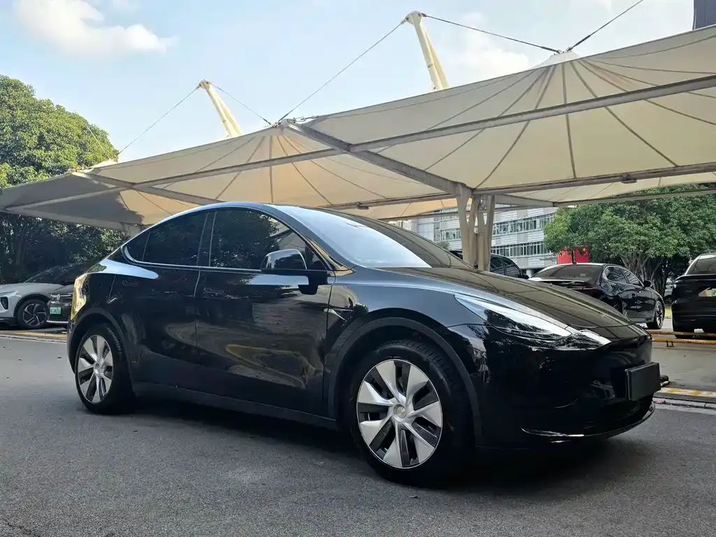 Tesla Model Y — фото 5