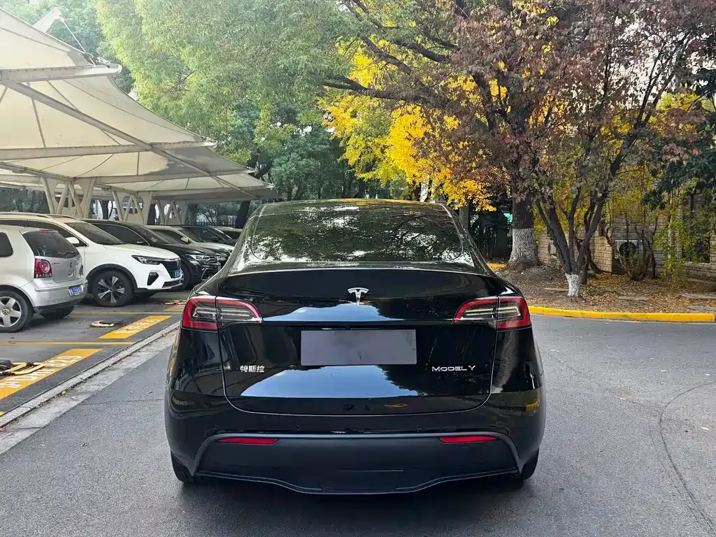 Tesla Model Y — фото 6