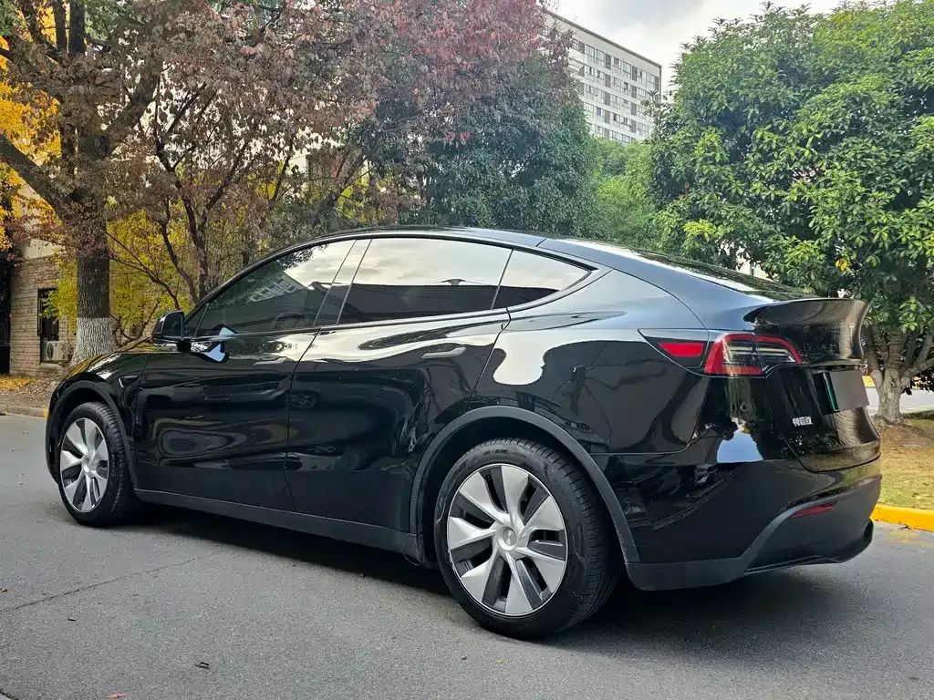 Tesla Model Y — фото 7
