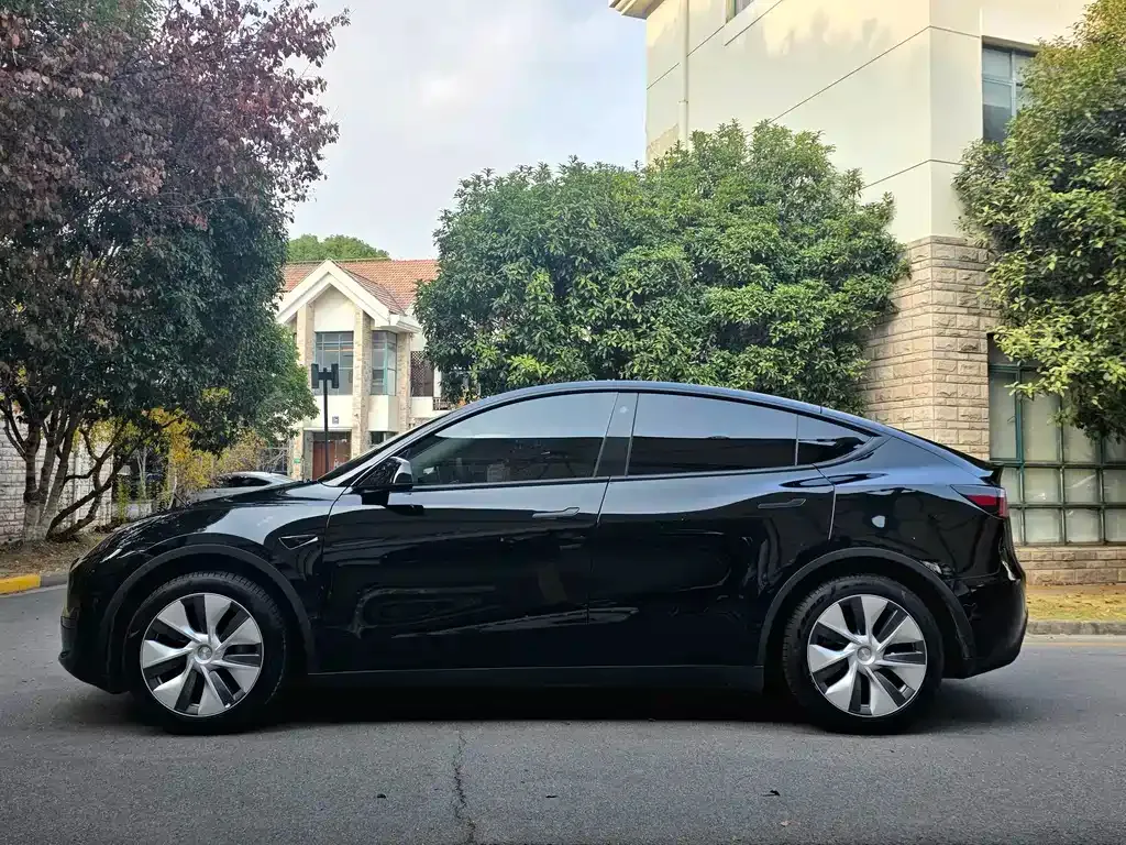 Tesla Model Y — фото 8
