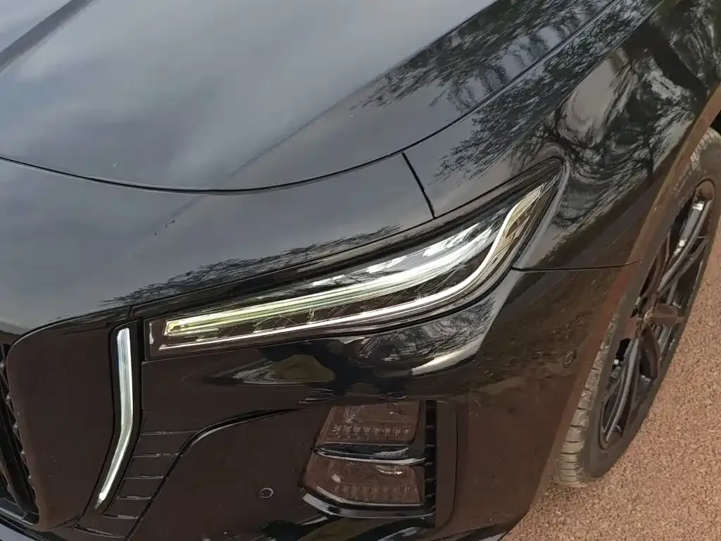 Hongqi H5 2024 из CN, фото 5