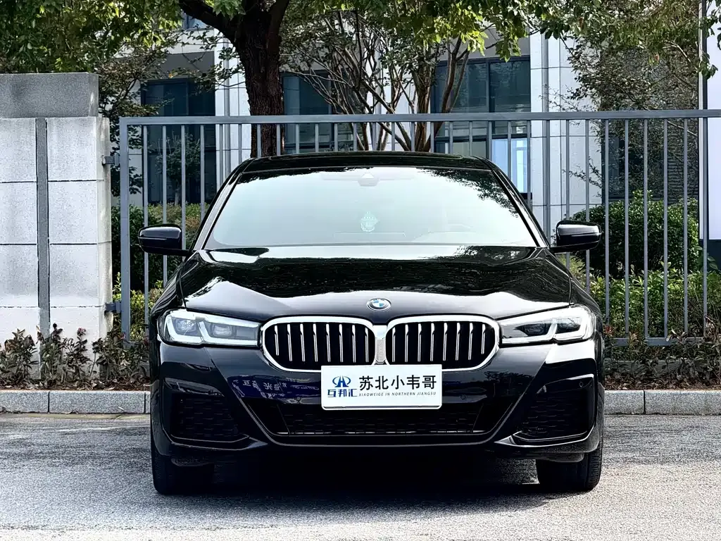 BMW 5 Series 2024 из CN, фото 1